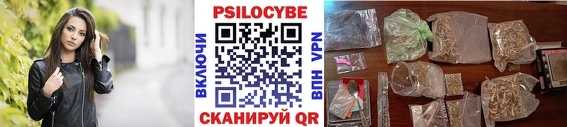 Галлюциногенные грибы Psilocybine cubensis  Химки 